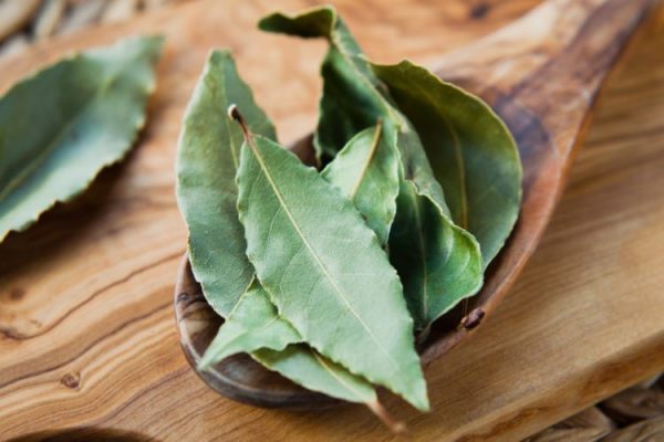 Why Recipes Call For Bay Leaves Even Though They Have No Taste Or Smell