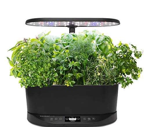 The Best Indoor Gardens and Herb Garden Kits for Families